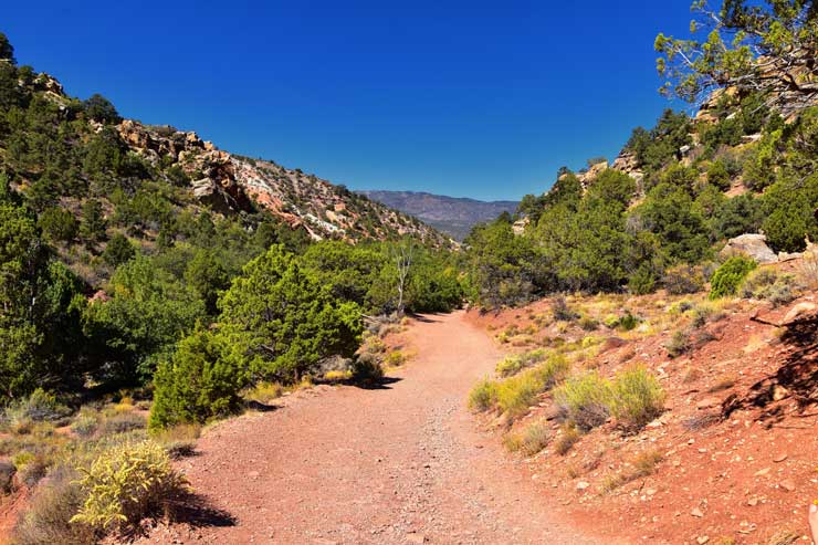 View through Kolob Canyon in Zion National Park with lush green meadow and red rock cliffs