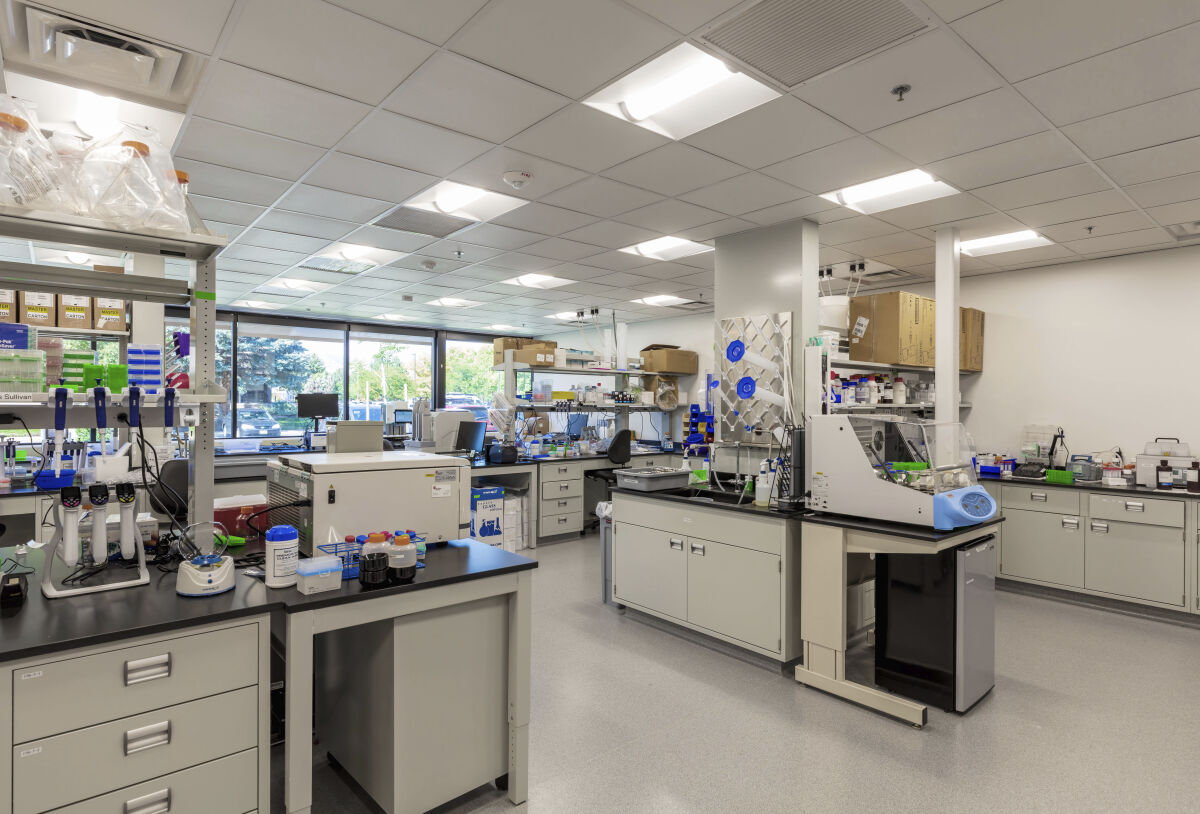 Laboratory at Cogent Biosciences with perimeter lab benches, central island workstations, integrated casework, and overhead lighting.
