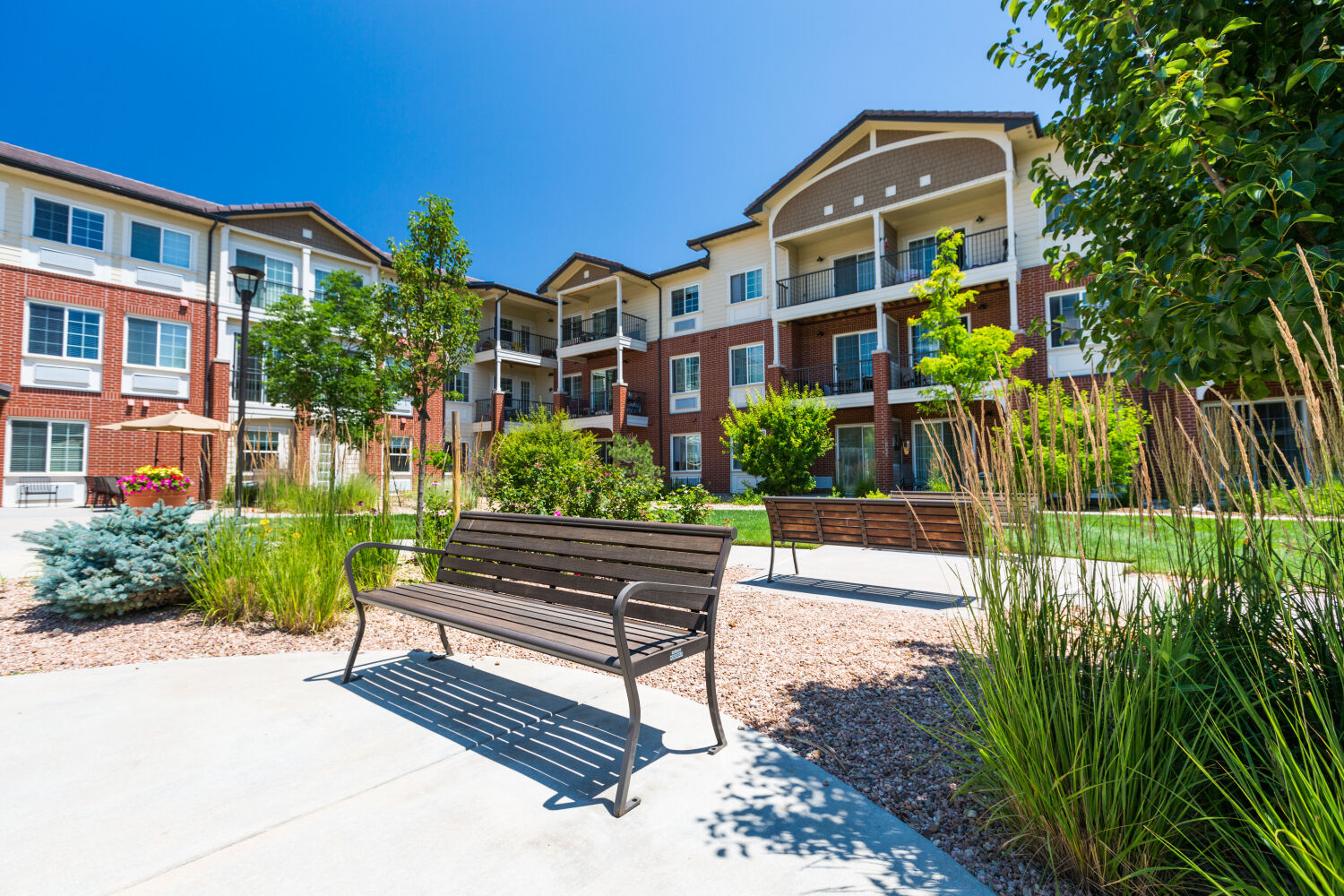 Lincoln Meadows Senior Living courtyard with benches along curving walkways, landscaped plantings, and multi‑story residential buildings with balconies.