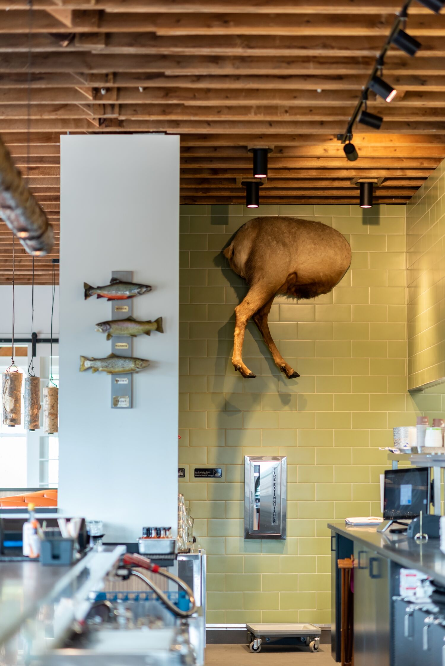 Interior wall detail at The Post restaurant featuring mounted fish sculptures, a taxidermy-style animal form, green tile wall, and an exposed wood ceiling.