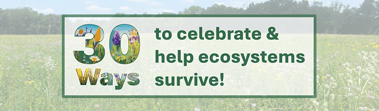 30 Ways to Celebrate 30 Years