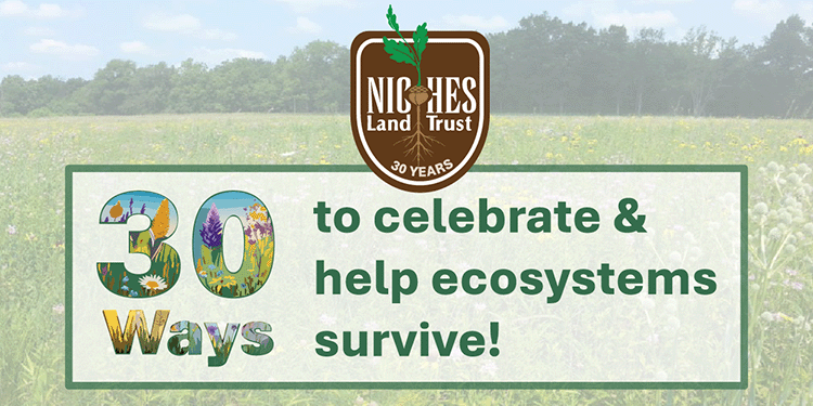30 Ways to Celebrate 30 Years