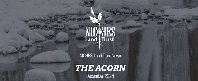 The Acorn E-news: December 2024