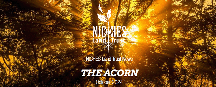 The Acorn E-news: October 2024