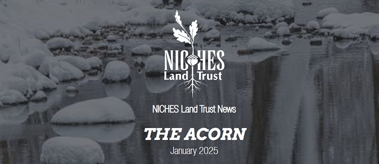 The Acorn E-news: January 2025
