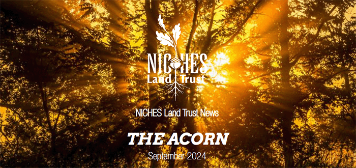The Acorn E-news: September 2024