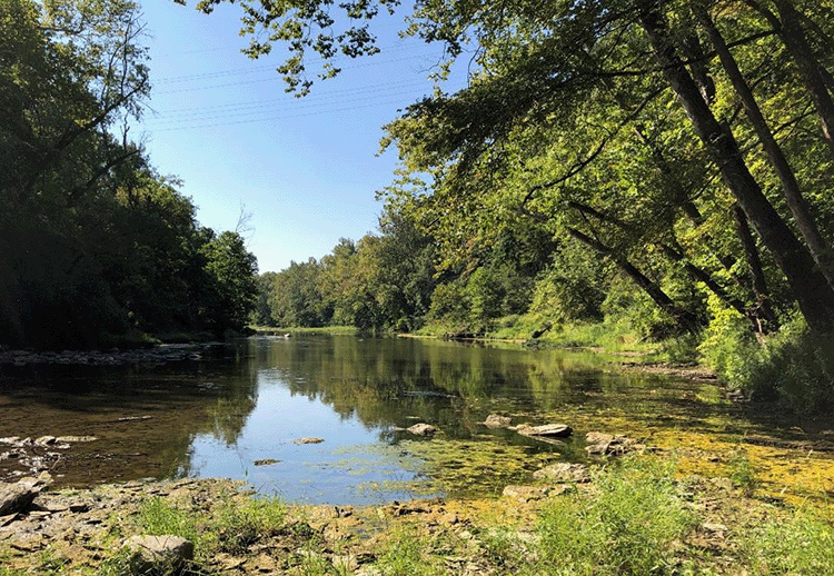 Conservation Advancements: 2024 Acquisitions Recap