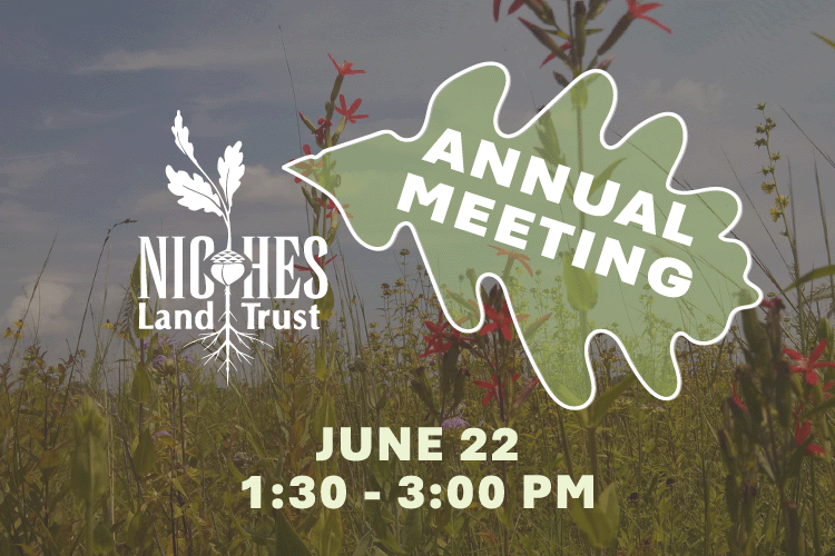 2024 Annual Meeting & Board Elections