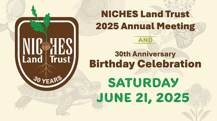 2025 Annual Meeting & Board Elections