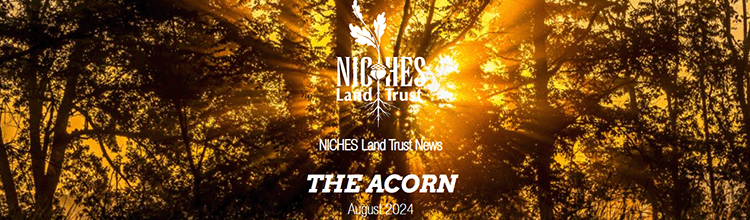 The Acorn E-news: August 2024