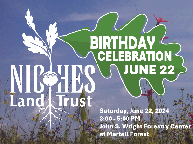 NICHES' Birthday Celebration on June 22