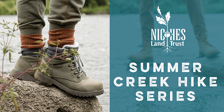 See Nature from a New Perspective During The Summer Creek Hike Series