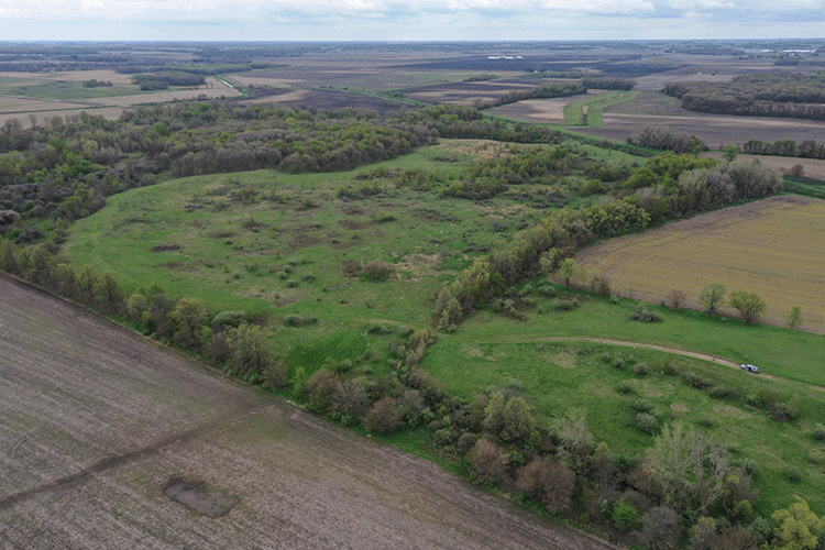 Aerial View of the Farris Estate Invasive Plant Mapping at the Farris Estate with EcoLogic