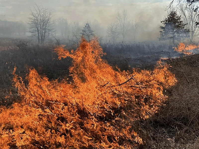 Fire Season Updates