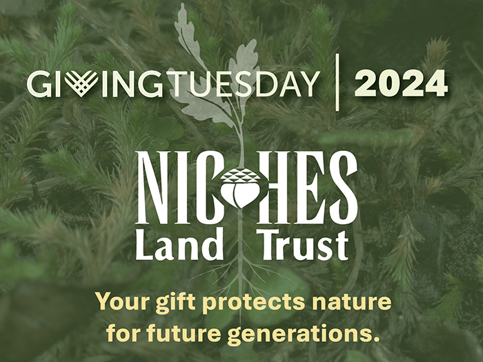 Giving Tuesday 2024 is December 3
