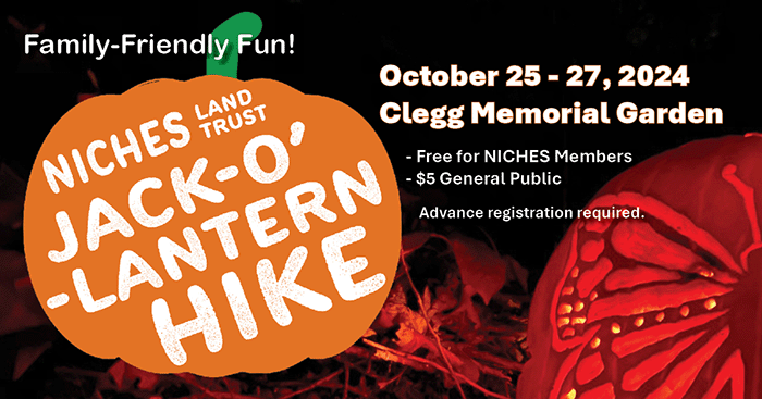 Experience Nighttime in Nature at Jack-O’-Lantern Hike