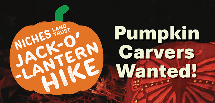Pumpkin Carvers Wanted for Jack-O'-Lantern Hike