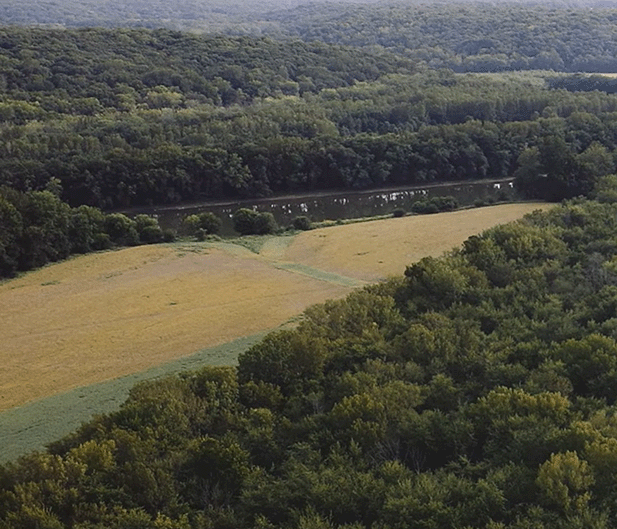 Re-establishing Prairie in the Wea Plains