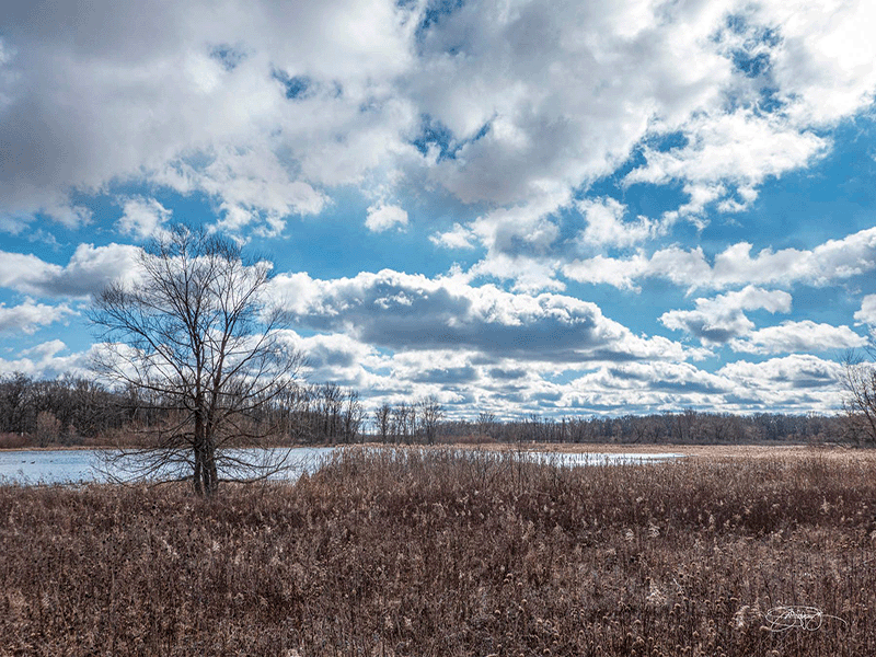 Affirming Our Commitment to Wetlands