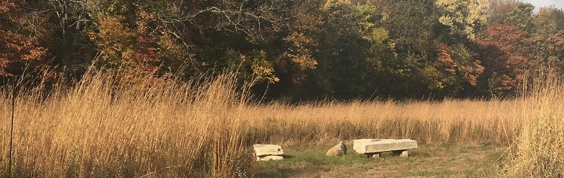 Warren Prairie Sanctuary
