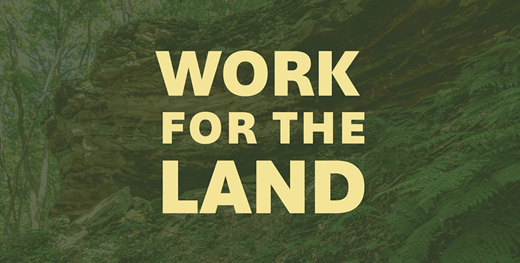 We're Hiring!