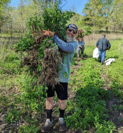 Rise of the Weeds