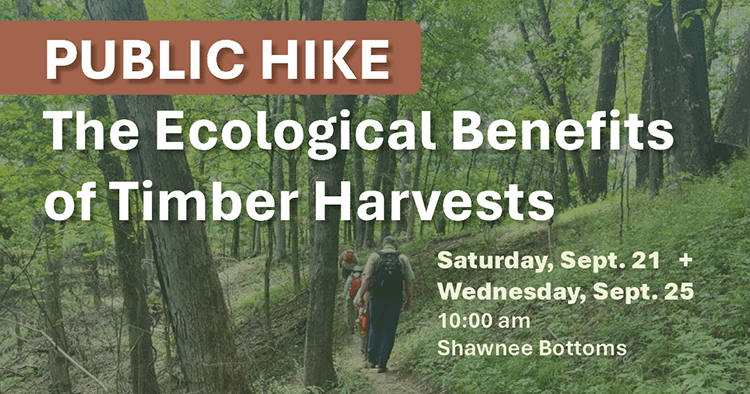 Public Hike: Ecological Benefits of Timber Harvests