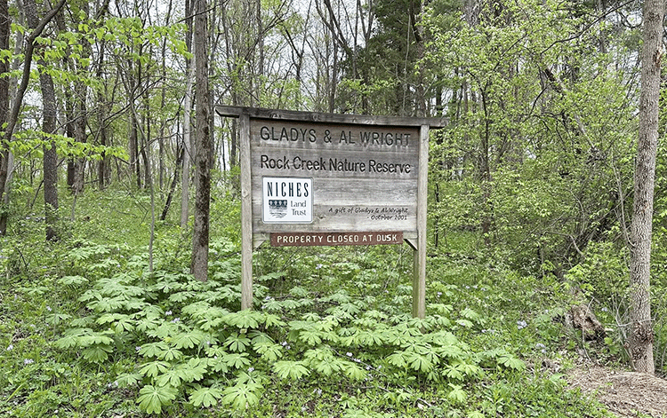 Checking Up on Gladys and Al Wright Rock Creek Nature Preserve