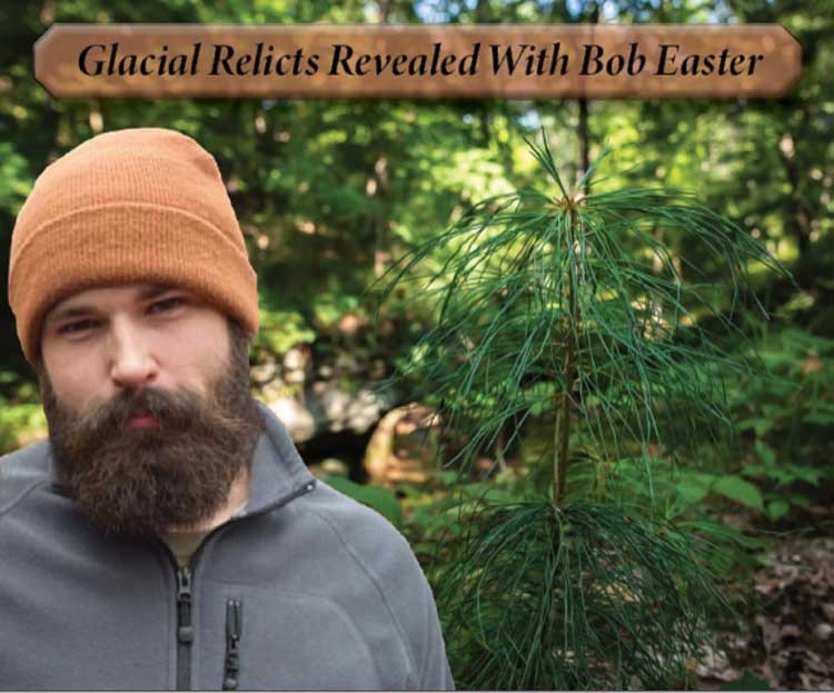 Glacial Relics Revealed – White Pine Lecture